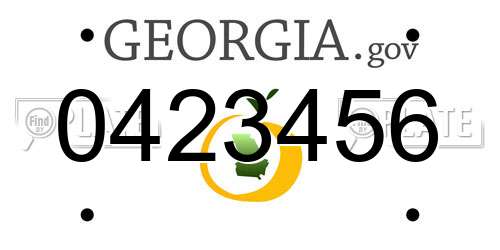 0423456 Georgia License Plate
