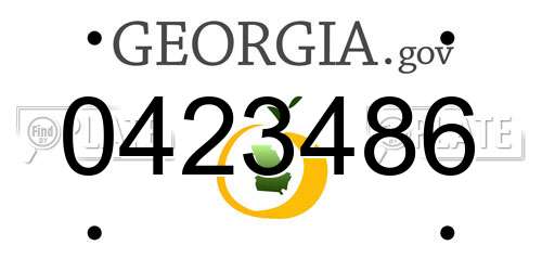 0423486 Georgia License Plate
