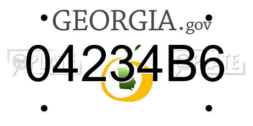 04234B6 Georgia License Plate
