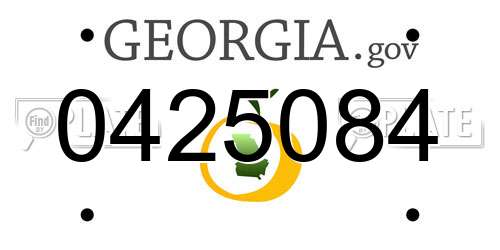 0425084 Georgia License Plate
