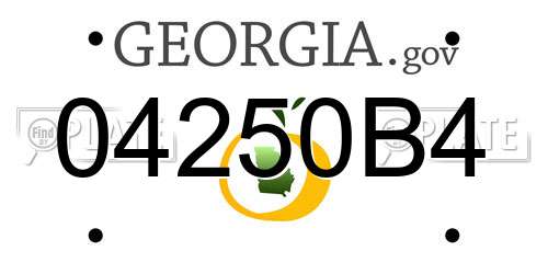 04250B4 Georgia License Plate
