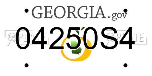 04250S4 Georgia License Plate