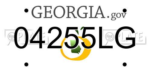 04255LG Georgia License Plate