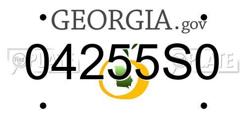 04255S0 Georgia License Plate