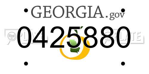 0425880 Georgia License Plate