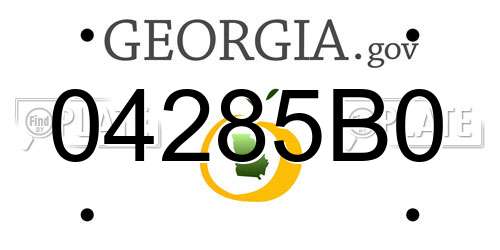 04285B0 Georgia License Plate