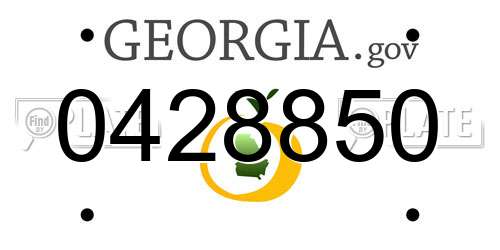 0428850 Georgia License Plate