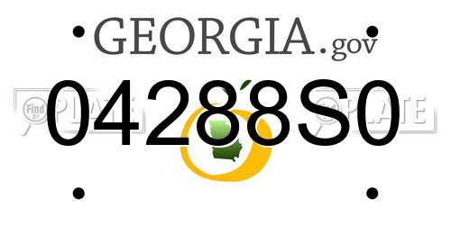 04288S0 Georgia License Plate