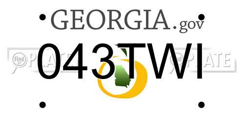 043TWI Georgia License Plate