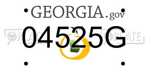 04525G Georgia License Plate