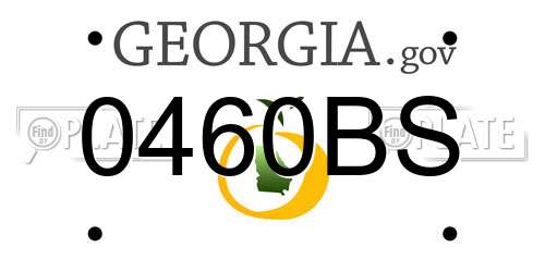 0460BS Georgia License Plate