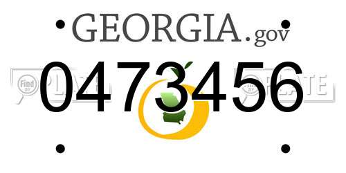 0473456 Georgia License Plate