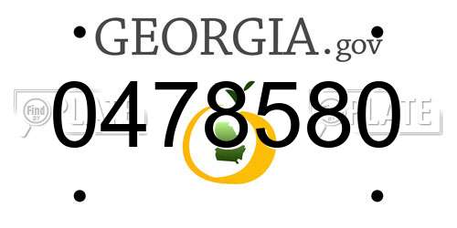0478580 Georgia License Plate