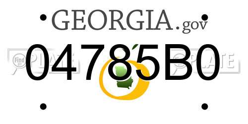 04785B0 Georgia License Plate