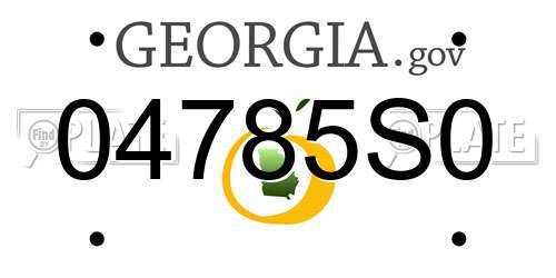 04785S0 Georgia License Plate