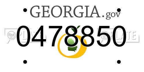 0478850 Georgia License Plate
