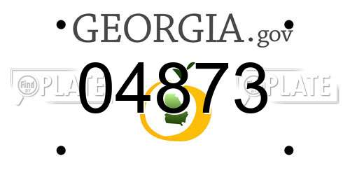04873 Georgia License Plate