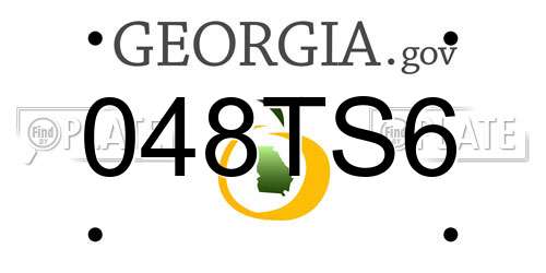 048TS6 Georgia License Plate