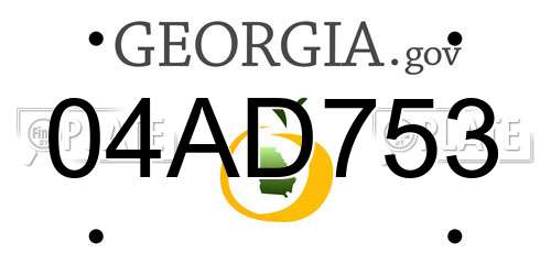 04AD753 Georgia License Plate