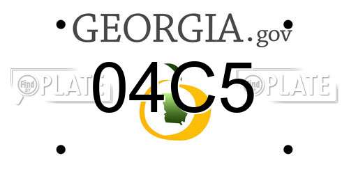 04C5 Georgia License Plate