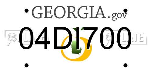 04DI700 Georgia License Plate