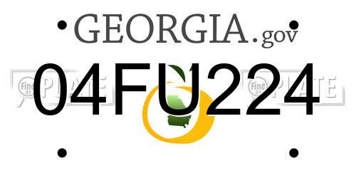 04FU224 Georgia License Plate
