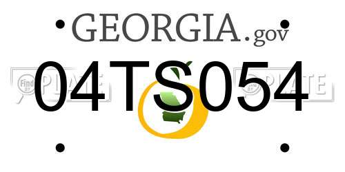 04TS054 Georgia License Plate