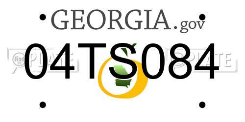 04TS084 Georgia License Plate