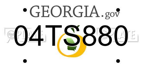 04TS880 Georgia License Plate