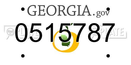 0515787 Georgia License Plate