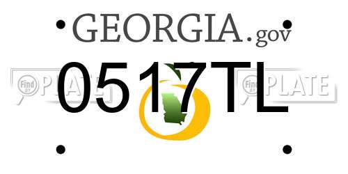 0517TL Georgia License Plate