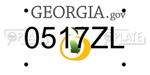 0517ZL Georgia License Plate