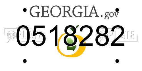 0518282 Georgia License Plate