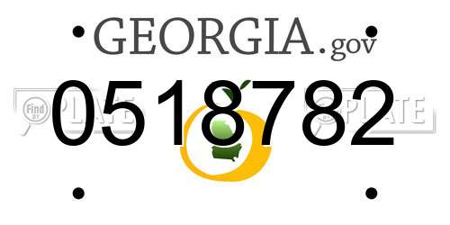 0518782 Georgia License Plate