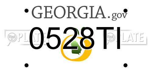 0528TI Georgia License Plate