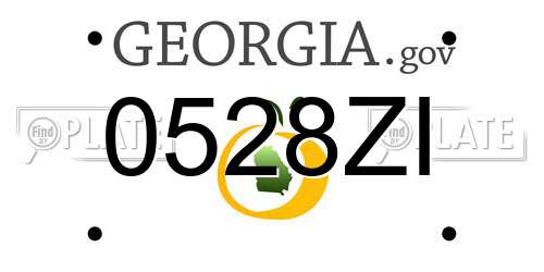 0528ZI Georgia License Plate
