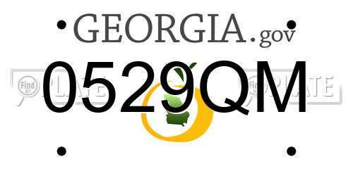 0529QM Georgia License Plate
