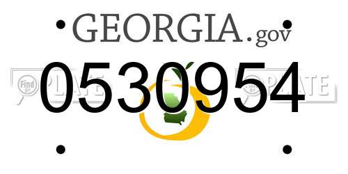 0530954 Georgia License Plate