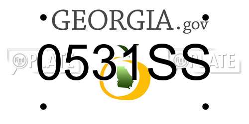 0531SS Georgia License Plate