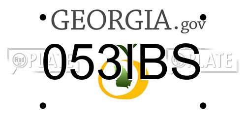 053IBS Georgia License Plate