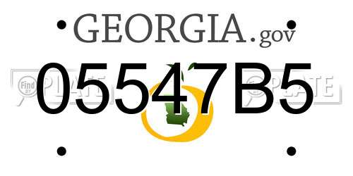 05547B5 Georgia License Plate
