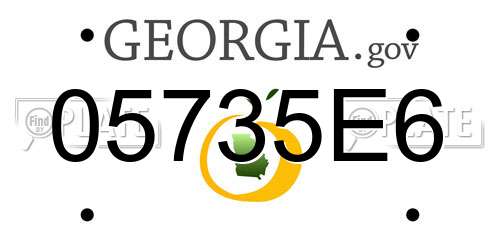05735E6 Georgia License Plate