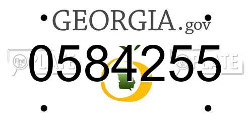 0584255 Georgia License Plate