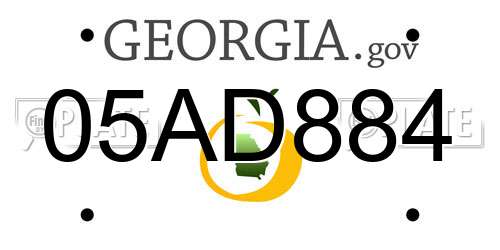 05AD884 Georgia License Plate