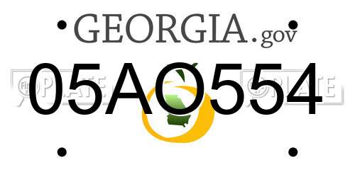 05AO554 Georgia License Plate