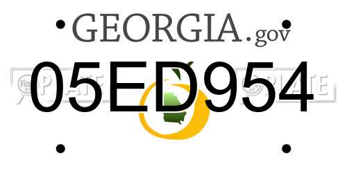 05ED954 Georgia License Plate