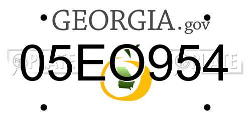 05EO954 Georgia License Plate