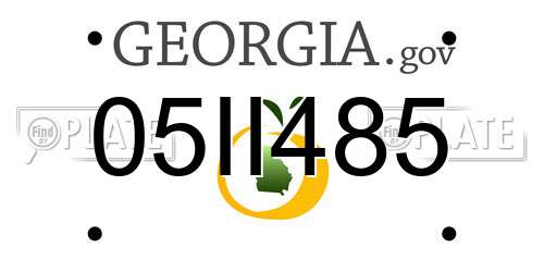 05II485 Georgia License Plate