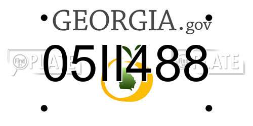 05II488 Georgia License Plate