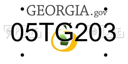 05TG203 Georgia License Plate